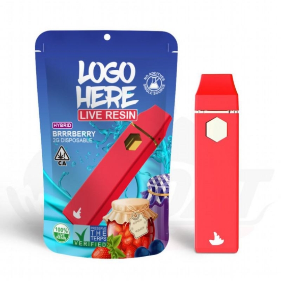 2024 Best Selling Eboat Times or OEM D1 2g Empty Disposable Disposable E-cigarette Puff