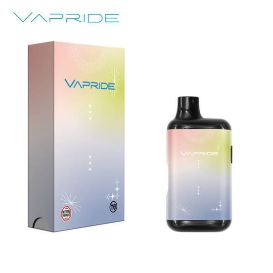 2024 Best Selling Disposable VAPRIDE Va100 Disposables Vape Bars Wholesale Price
