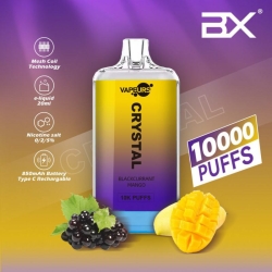 urs Urs Bp9000 10000 Puffs Disposable Vape Brands