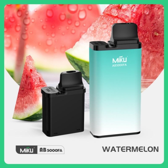 Hot Sale Miku Ab5000fa2011 Electronic Cigarette