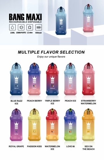 Good Price Bang King Maxi 15000 15k E Long Puffs Wholesale Vape Pen