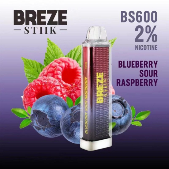 2024's Top Sellers Customizable Disposable Vapes Bs 600 Puffs Wholesale
