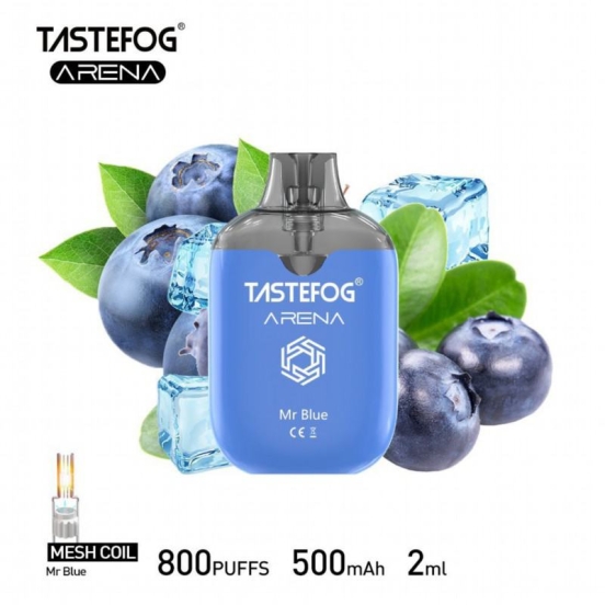 Top-notch Vaping Disposable Vapes Wholesale TASTEFOG A