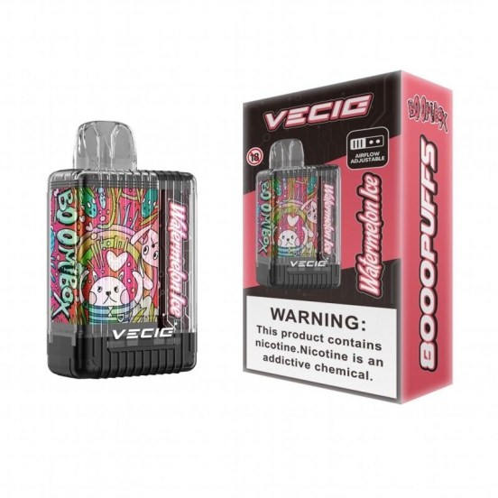 Hot Selling VECIG Vecig Boombox 8000 Puffs Wholesale