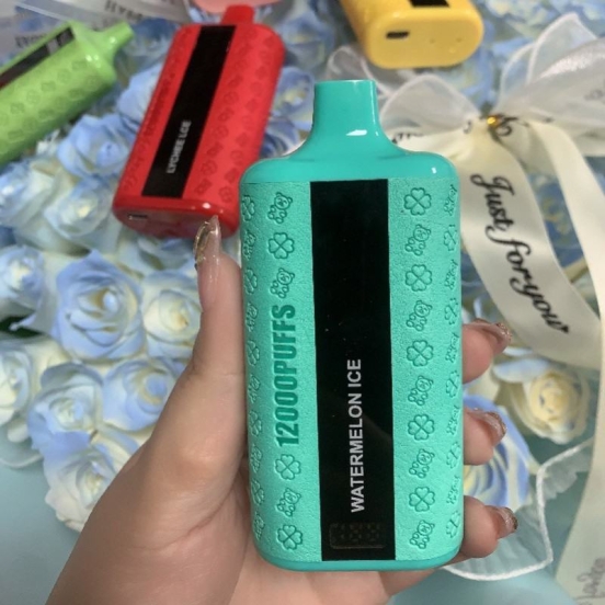 Wholesale OEM 12000 Puffs Vape