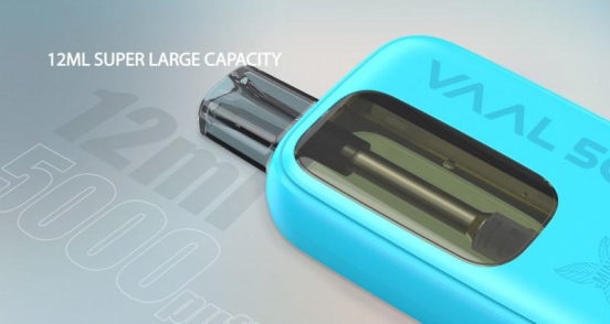 VL Vaal 5000 Disposable Vapes