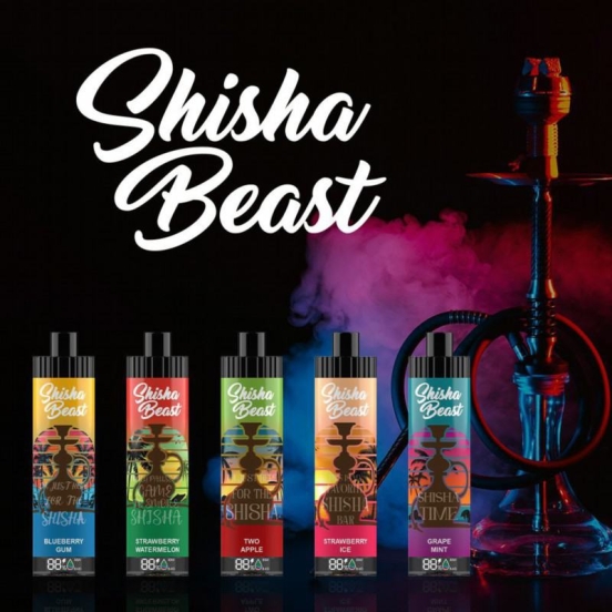 Wholesale Vape Disposables Shisha Beast 20000 Dtl