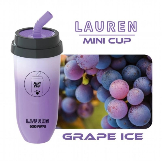 Original customize Disposable Vape Brands Lrec02 6000 Puffs