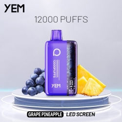 YEM Disposable Vape Pens Bm12s-28bs 12000 Puffs