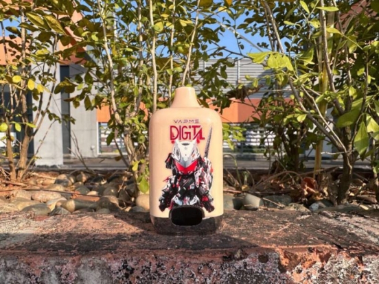 2024 Best Vapme Puff 12000 Puffs Disposable E-cigarette