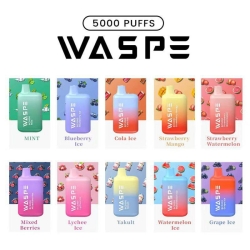 WASPE Vape Waspe Bc0 500 Puffs Nederland