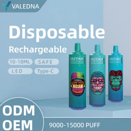 VALEDNA Wholesale Disposable Vape 055 9000 Puffs
