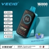 VECIG Vecig Fs Turbo 16000 Puffs Vapes