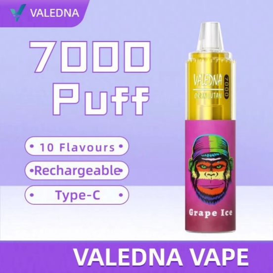 VALEDNA Puff S62 7000 Puffs Disposable E-cigarette