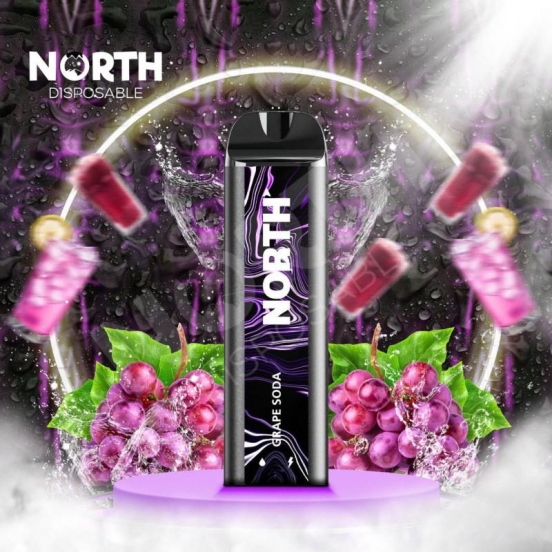 North North 5000 5% Dtl5000 Puffs Bars