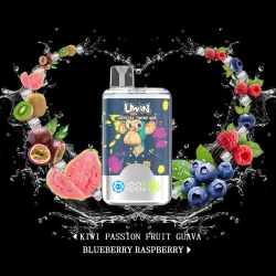 Wholesale Uwin 40000 Puffs Nederland Disposable Vape Pro Pen