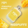 yem Disposable Vape Td95-16mini 9500 Puffs Brands