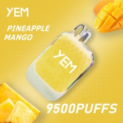yem Disposable Vape Td95-16mini 9500 Puffs Brands