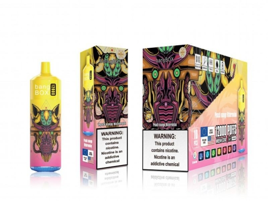 Hot Sale Wholesale Bang Savage Box 12000 Puffs Vape Bars