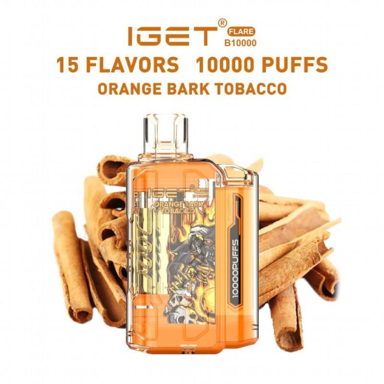 Best Vape Pen Iget 10000 Puffs Smooth Hit Disposable Vape
