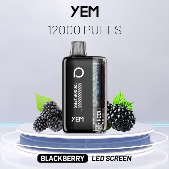 2024 Best Vape Pen YEM Wholesale Disposable Vape Bm12s-21c