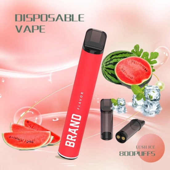 Puff OEM Hs16 E Pod 800 Puffs Disposable E-cigarette