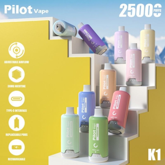 Pilot Pilot 25000 Puffs Disposables Vape Wholesale