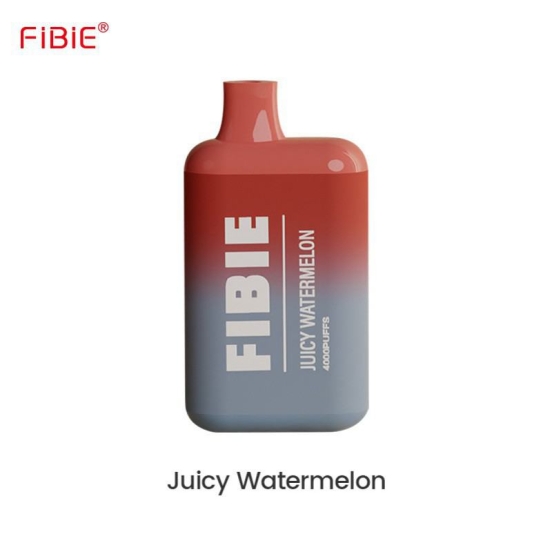 All Flavors FIBIE 4000 Puffs Vape Disposable Wholesale