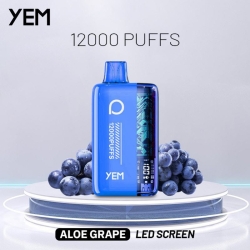 Bang Bm12s-1bs 12000 Puffs Disposable Vape Device