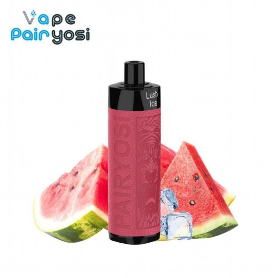 Disposable Pairyosi (custom) Py 10000 Puffs Vape Pens Wholesale