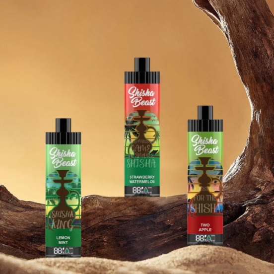 R&M SHISHA BEAST 20000 Big Puff Pen Plus