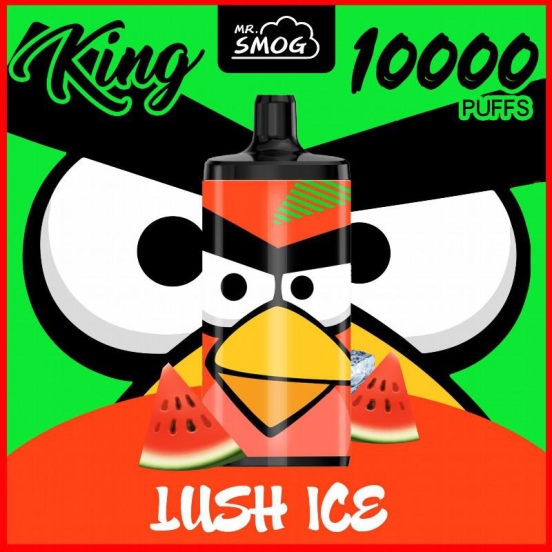 Hot Selling Bars Mr Smog King 10000 Puffs Disposable Vape