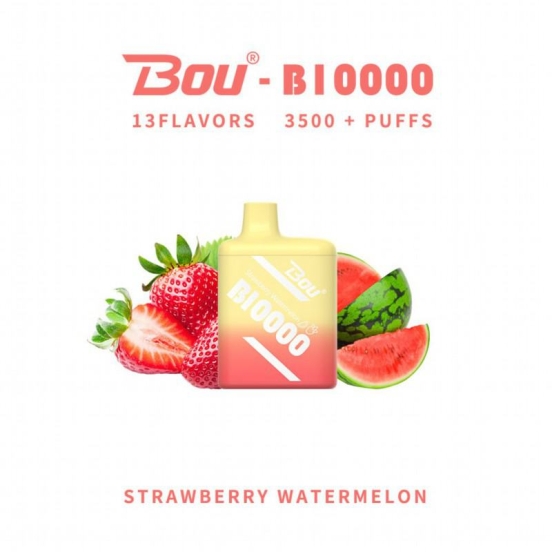 Bulk Pricing Disposable Vapes Wholesale Smok 10000 Puffs