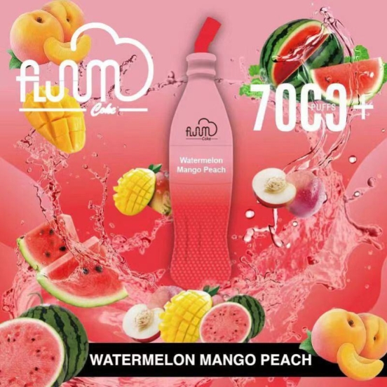 2024 Best Vape Pen Disposable Bang Vape Fluum Wholesale