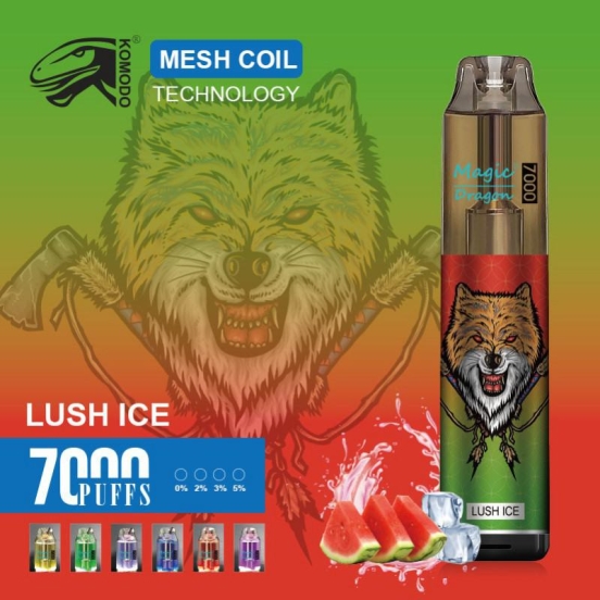 Wholesale magic dragon Magic Dragon 7000 Disposable Vapes