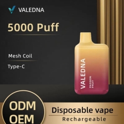 Disposable VALEDNA Vape Pen 004 5000 Puffs
