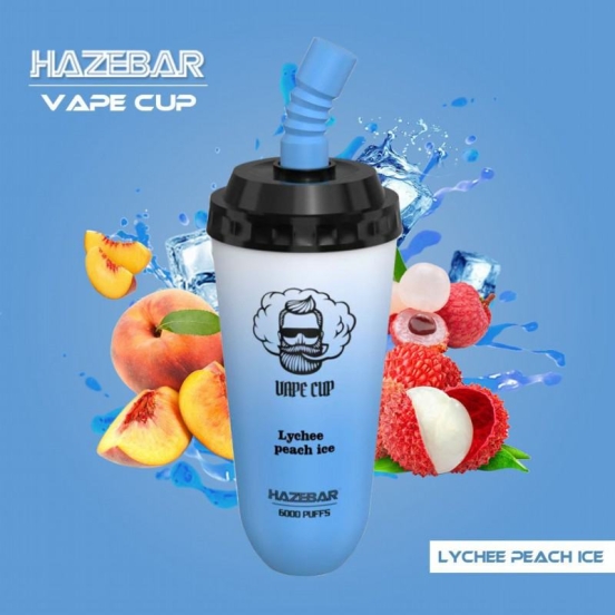 Disposable INSTA Haze Cup 6000 Puffs Vape Brands