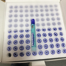 Disposable Vape Bars Packwoods X Runtz Pr3