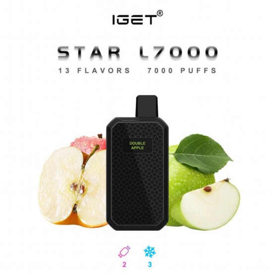 Best Vape Pen IGET Original Bulk Wholesale