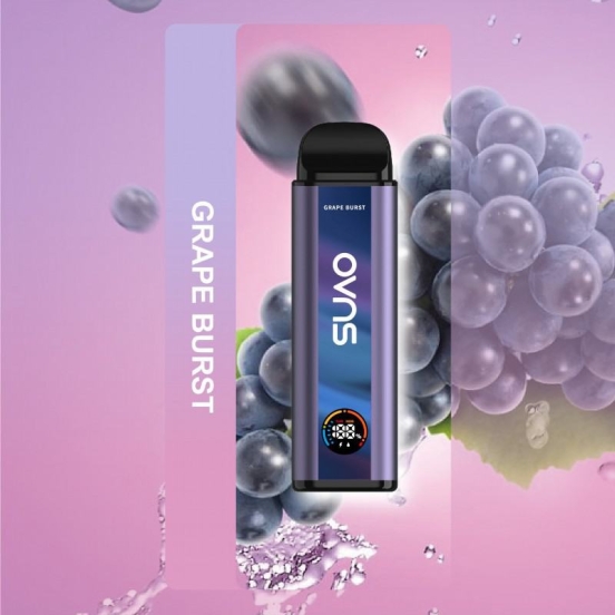 Disposable OVNS Ovns Zephyr 6000(turbo)~10000(normal) Puffs E-cigarette Nicotine