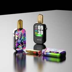 Disposable Aierbaita Vape Brands