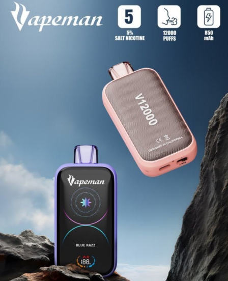 Bulk Pricing Wholesale Vape Disposables Dig Man V 12000 Puffs