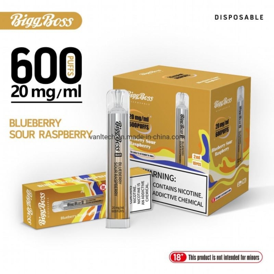 Hot Selling VANLT Biggboss-42 Vape Bar