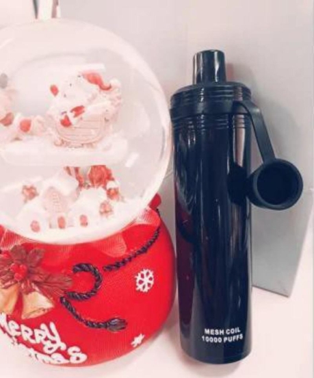 Bestseller Wholesale zbood Next Shisha 10000 Vape Disposables