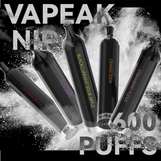 Premium Vape Pen Puff OVNS Ak Nip 600 Disposable E-cigarette