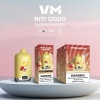 Vaping Muster Vmrm 12000 Puffs Vape Big Puff Bars Plus