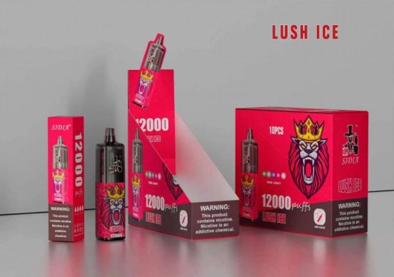 Premium Vape Pen FV Sidia 12000 Puffs Disposable Vape Brands