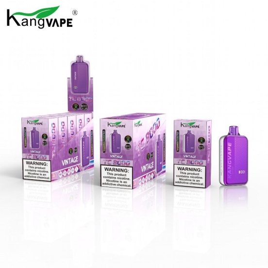 2024 Best Vape Disposable KANG 8000 Vape Brands