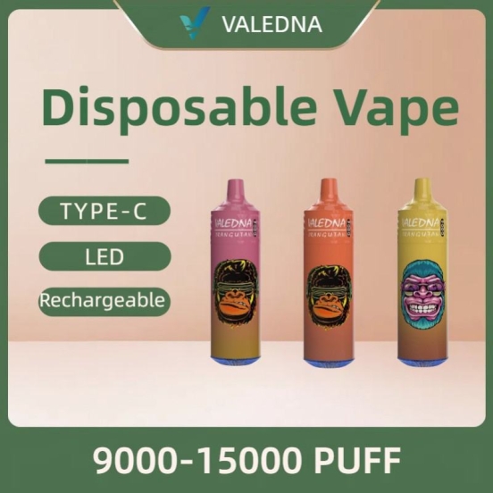 VALEDNA Monkey 9000 Puffs Disposable Vape Pens Wholesale