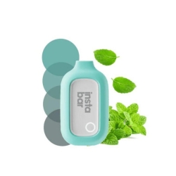 Baish Insta Jar 5000 Pen